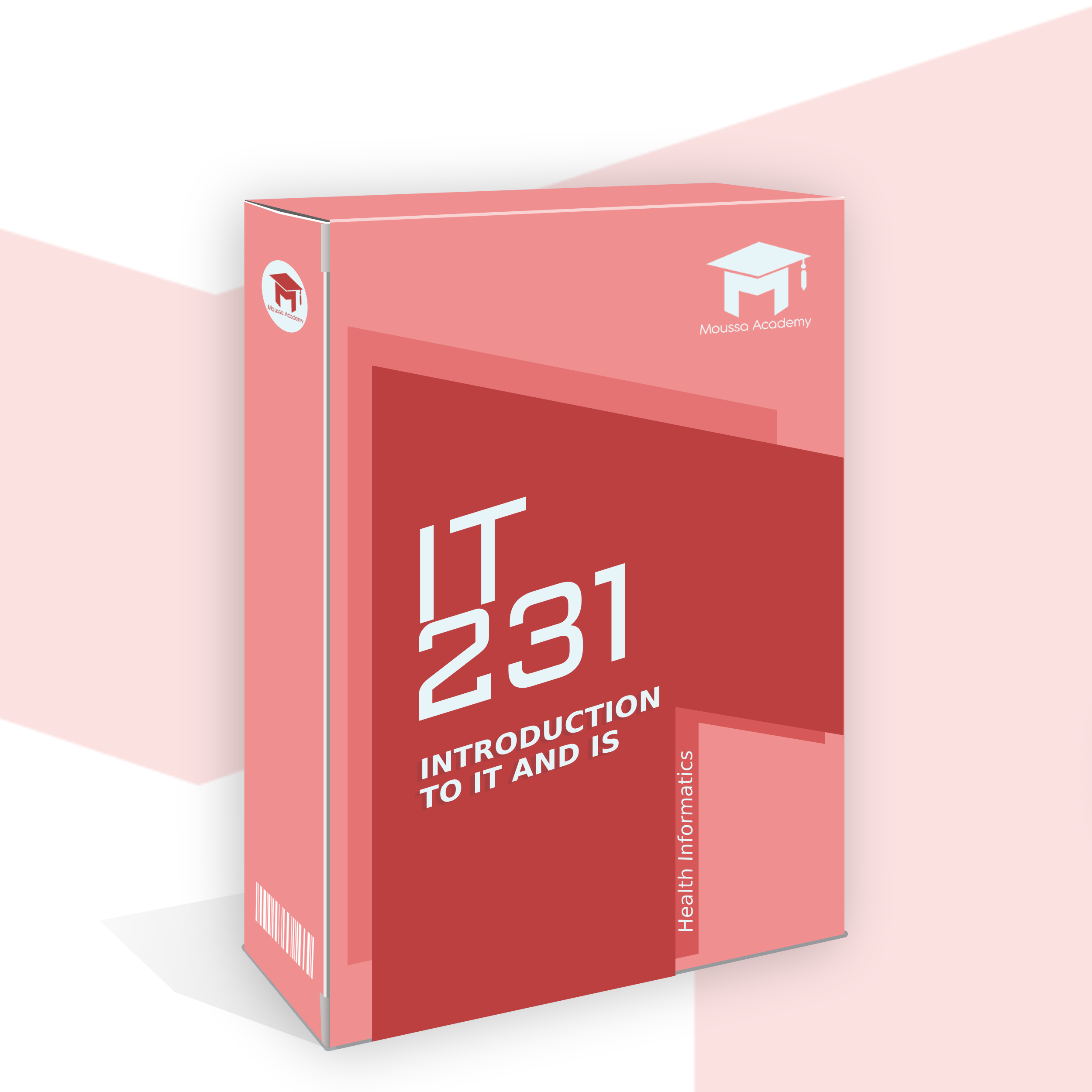 IT231 - Introduction to IT and IS